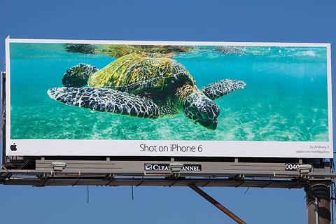 iPhone 6 turtle billboard