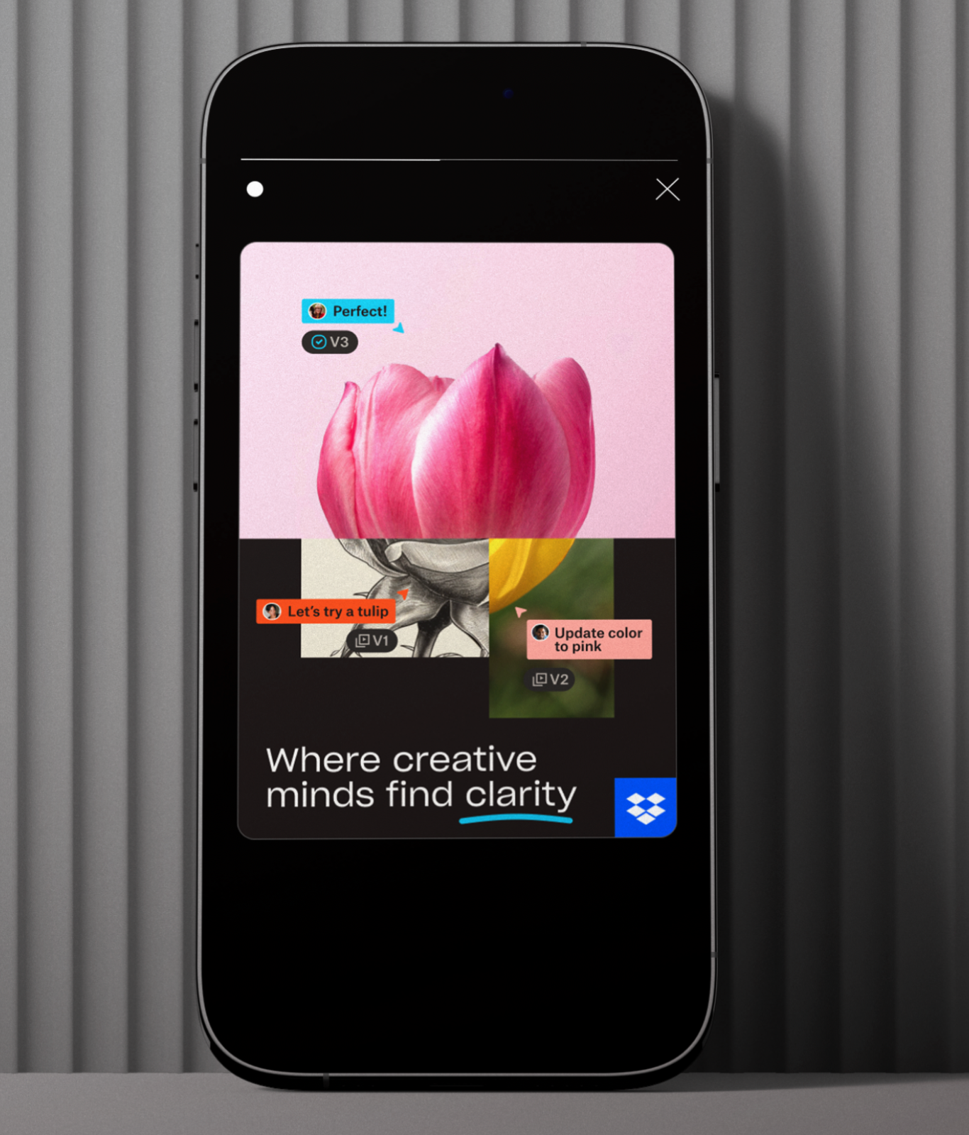 A smartphone screen displays a tulip image with digital editing tags and the text "Where creative minds find clarity" above the Dropbox logo.