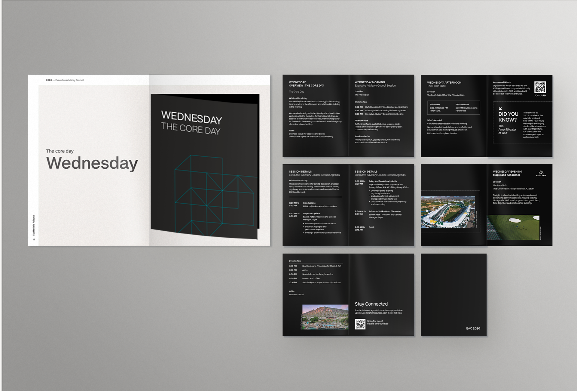 An open booklet and eight booklet pages laid out, featuring black backgrounds, white text, geometric graphics, and small photos of landscapes—designed to reflect a premium executive experience for Datavant’s unified executive experience.